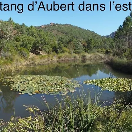 Appartamento Mer & Nature Avec Piscine Chauffee Golf Et Multisport *